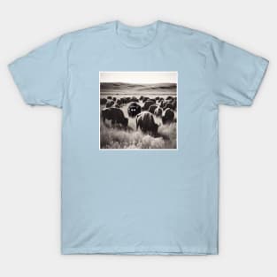 That one buffalo T-Shirt